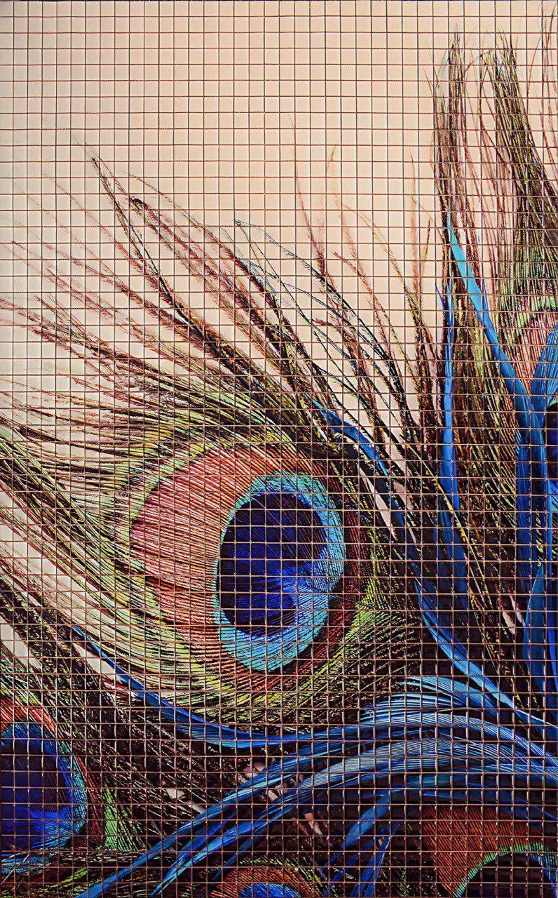 507844a5-8680-42eb-9358-c9e89effa6f5