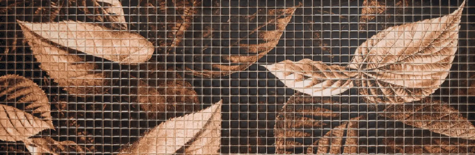 ef930a58-add4-4687-b319-880c480ca606