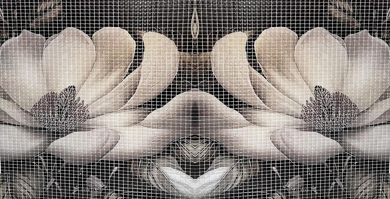 f4b7ecd6-8b53-48d9-b014-752f8ee24485